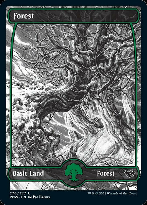 Forest - Full Art