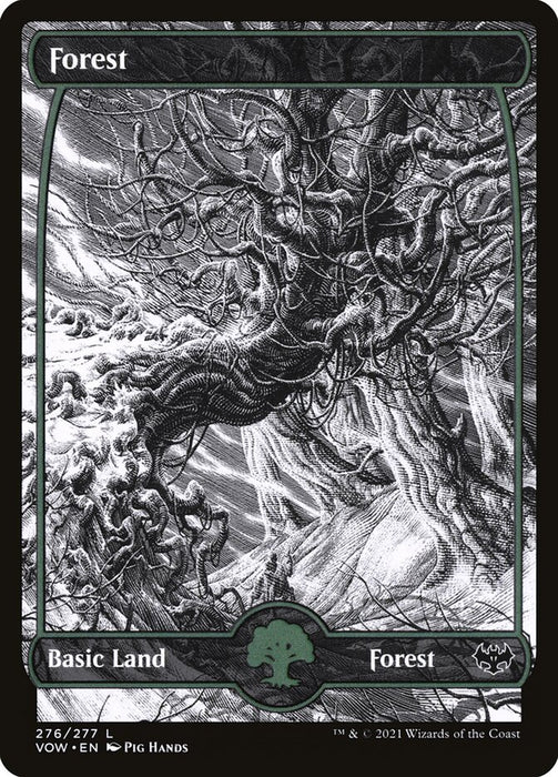 Forest - Full Art  (Foil)