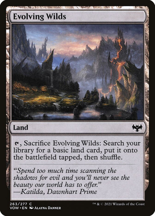 Evolving Wilds  (Foil)