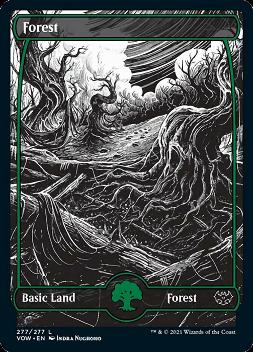 Forest - Full Art  - Showcase