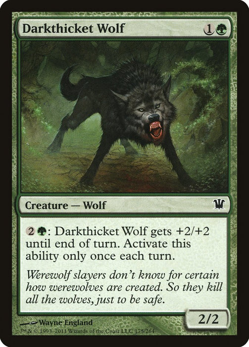 Darkthicket Wolf  (Foil)