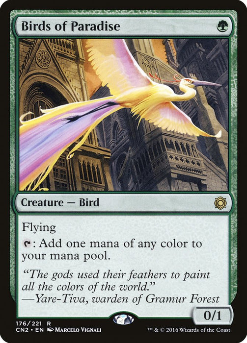 Birds of Paradise  (Foil)